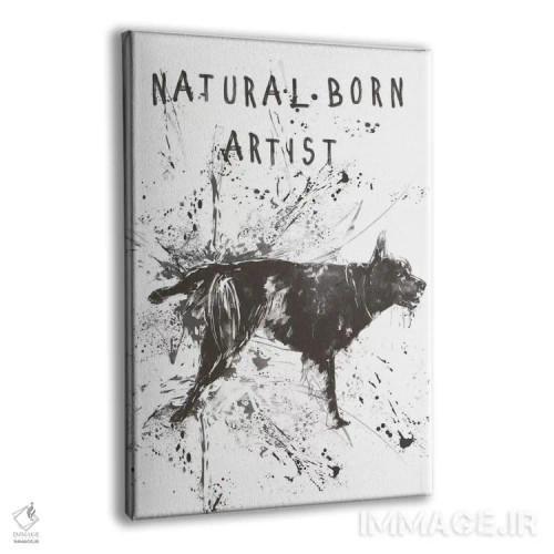 تابلو هنرمند مادرزاد اثر بالازس شولتی - نمای پرسپکتیو محصول