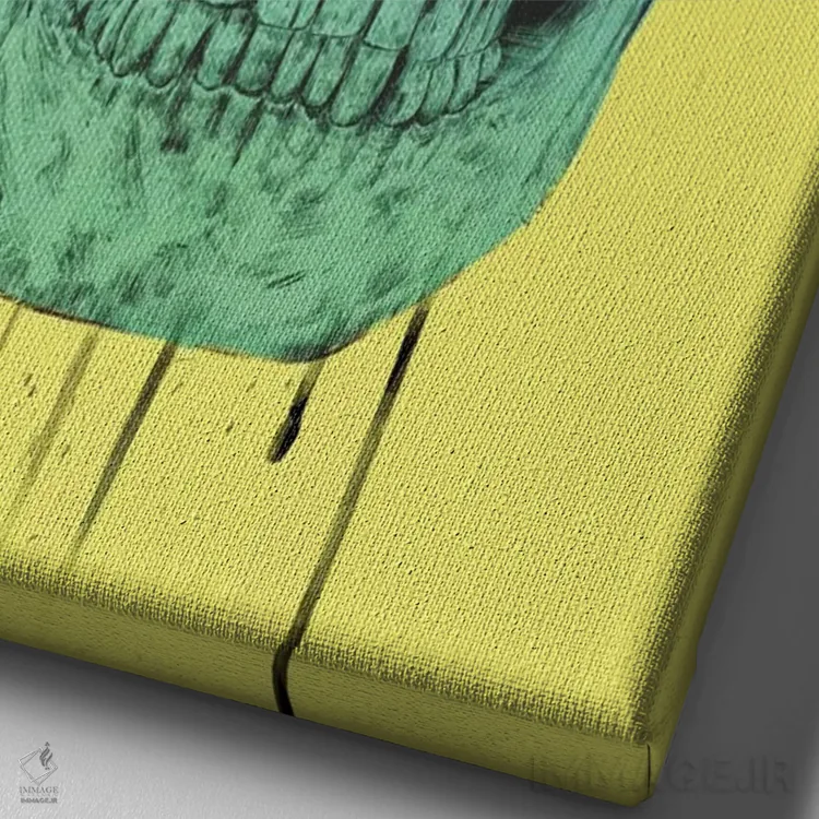 تابلو جمجمه پاپ آرت اثر بالازس شولتی - نمای نزدیک بافت بوم