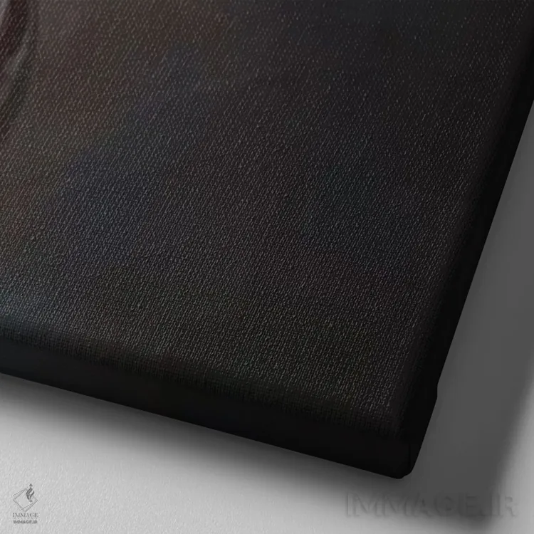 تابلو انتقام اثر بالازس شولتی - نمای نزدیک بافت بوم