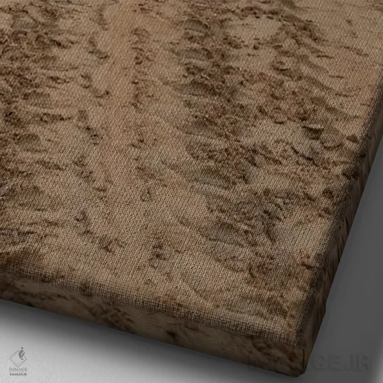 تابلو پس از تخمگذاری در ساحل گالاپاگوس، این لاکپشت دریایی به اقیانوس بازمیگردد اثر بتی سدرکوئیست - نمای نزدیک بافت بوم