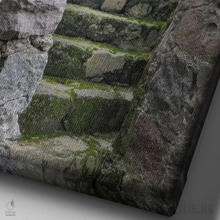 تابلو این پلههای سنگی قدیمی حیاطها را در خانهای در ارتفاعات آند به هم وصل میکنند اثر بتی سدرکوئیست - نمای نزدیک بافت بوم