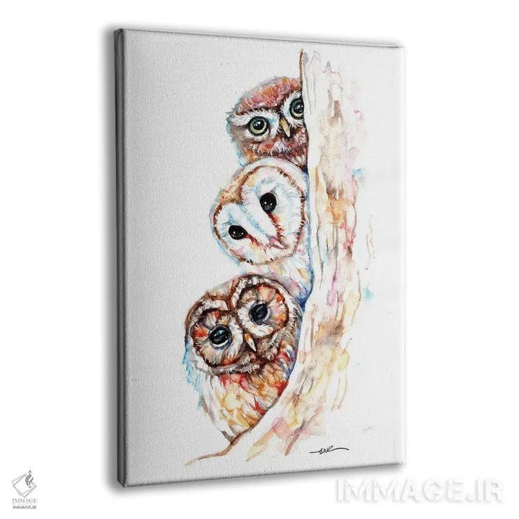 تابلو جغدهای در حال سرک کشیدن اثر بیبزآرتس - نمای پرسپکتیو محصول