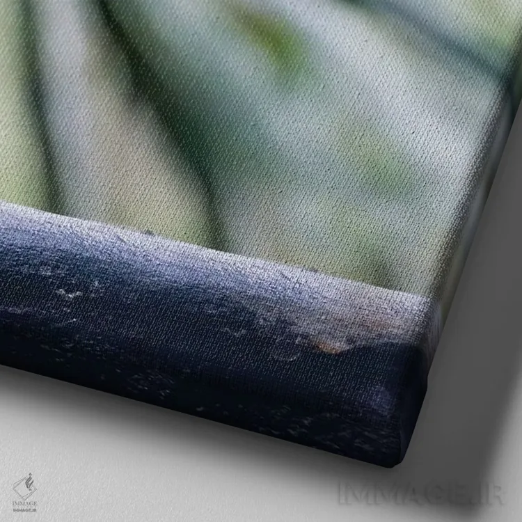 تابلو آراکاری در جنگل ابری منقاری بزرگ دارد اثر بتی سدرکوئیست - نمای نزدیک بافت بوم