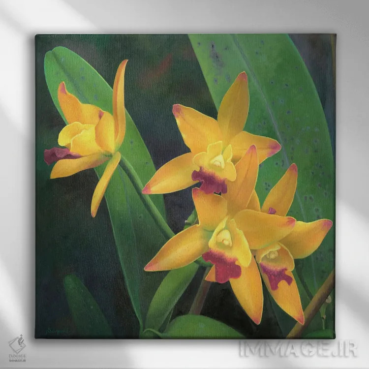 تابلو گل ۳ اثر بنیتو سالمرون - نمای روبهرو روی دیوار