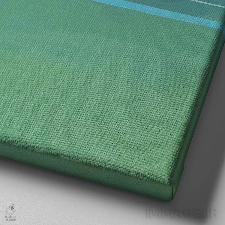 تابلو مرغان دریایی ۳ اثر بنیتو سالمرون - نمای نزدیک بافت بوم