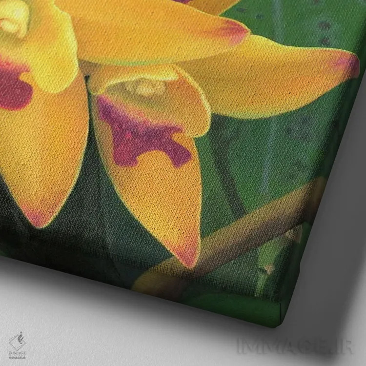 تابلو گل ۳ اثر بنیتو سالمرون - نمای نزدیک بافت بوم