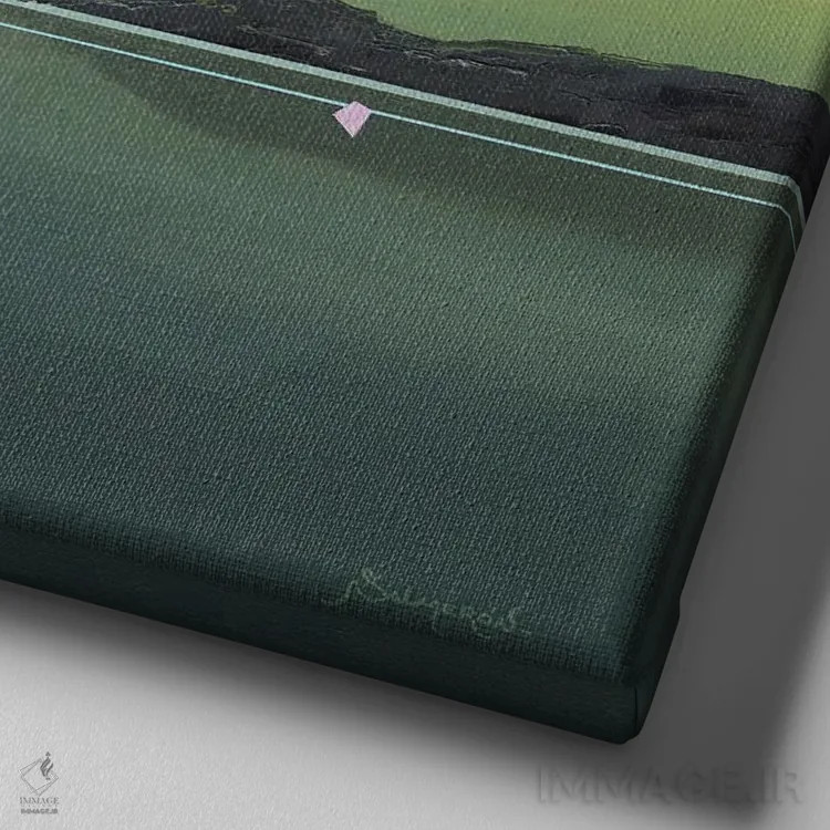 تابلو مرغان دریایی ۲ اثر بنیتو سالمرون - نمای نزدیک بافت بوم