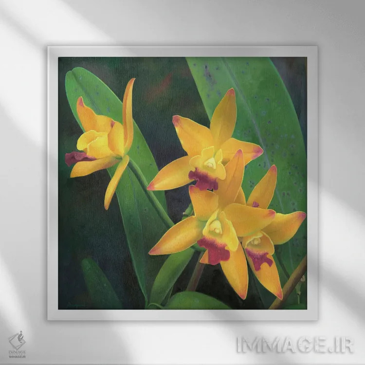 تابلو گل ۳ اثر بنیتو سالمرون - نمای قابدار سفید