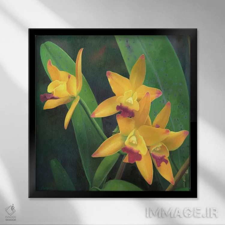 تابلو گل ۳ اثر بنیتو سالمرون - نمای قابدار مشکی