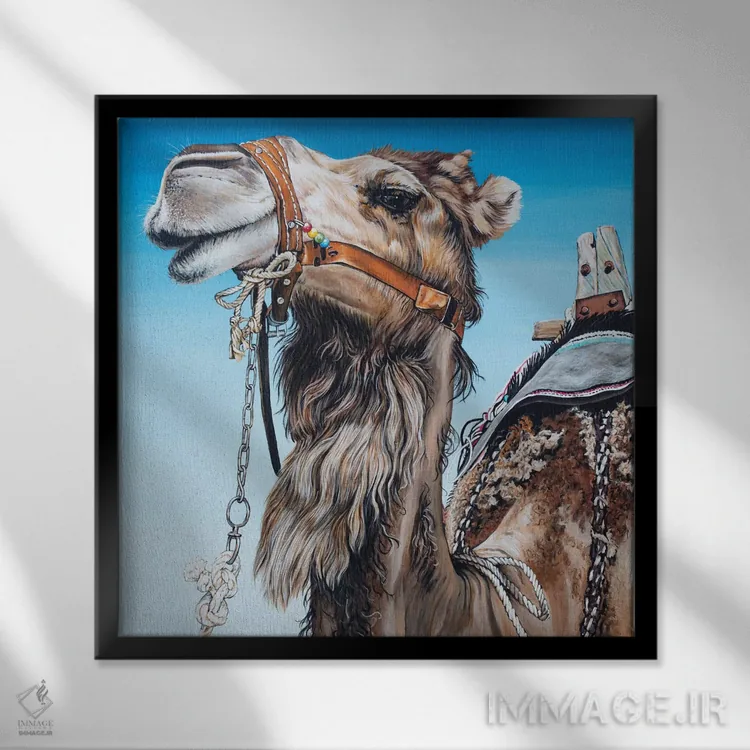 تابلو شتر یککوهانه اثر کلارا باستین - نمای قابدار مشکی