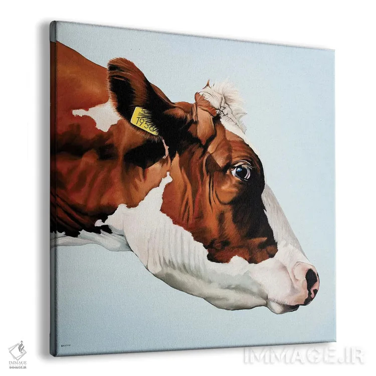 تابلو گاو از نمای نیمرخ اثر کلارا باستین - نمای پرسپکتیو محصول