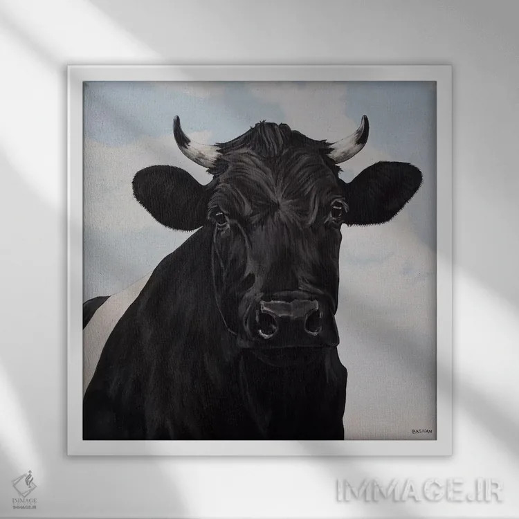 تابلو گاو کمربنددار هلندی اثر کلارا باستین - نمای قابدار سفید