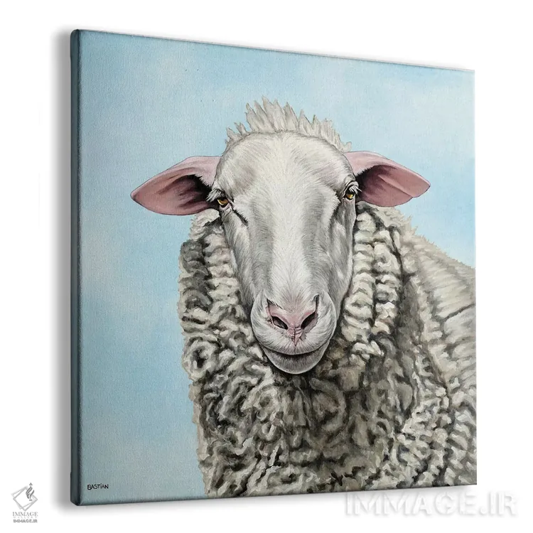 تابلو گوسفند اثر کلارا باستین - نمای پرسپکتیو محصول