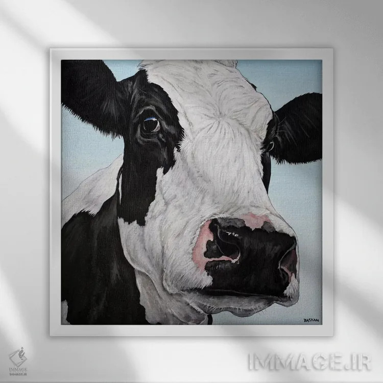 تابلو مینی (اسم گاو) اثر کلارا باستین - نمای قابدار سفید