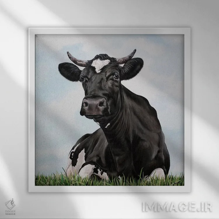 تابلو گاو علفزار اثر کلارا باستین - نمای قابدار سفید