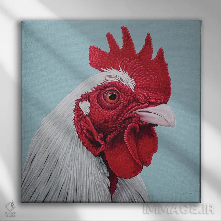 تابلو خروس سفید اثر کلارا باستین - نمای روبهرو روی دیوار