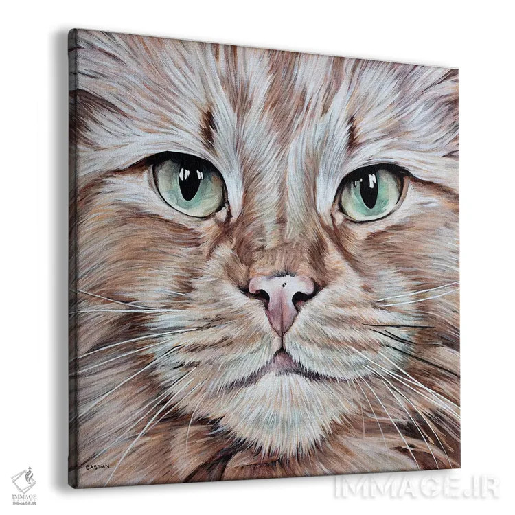 تابلو تامی (اسم خاص) اثر کلارا باستین - نمای پرسپکتیو محصول