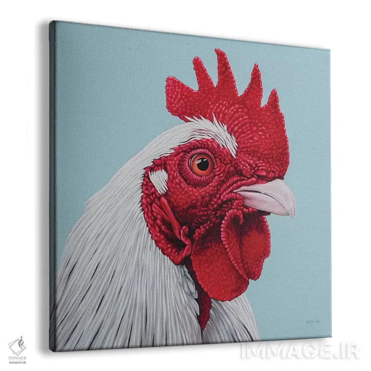 تابلو خروس سفید اثر کلارا باستین - نمای پرسپکتیو محصول