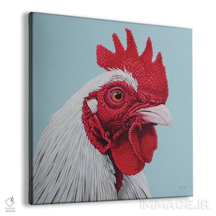 تابلو خروس سفید اثر کلارا باستین - نمای پرسپکتیو محصول