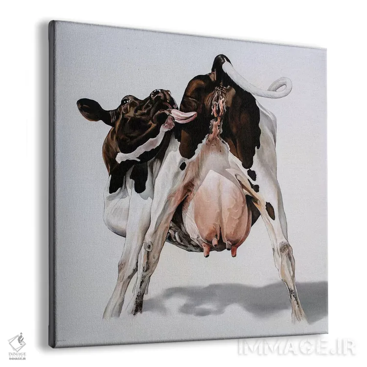 تابلو گاو آبنباتی (کارتونی) اثر کلارا باستین - نمای پرسپکتیو محصول