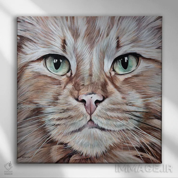 تابلو تامی (اسم خاص) اثر کلارا باستین - نمای روبهرو روی دیوار