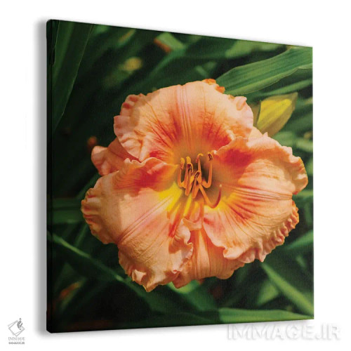 تابلو باغ سوسن روز ۷ اثر بثانی یانگ - نمای پرسپکتیو محصول