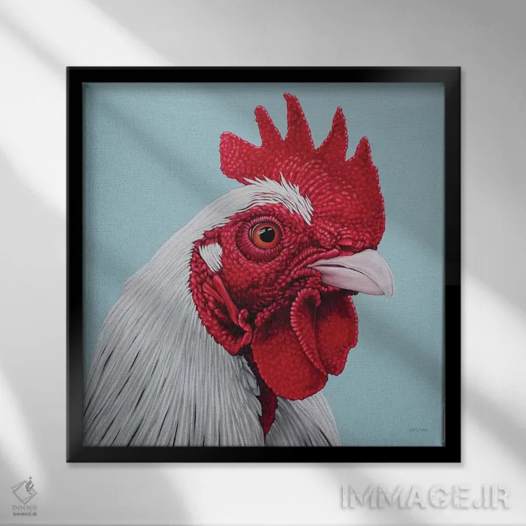 تابلو خروس سفید اثر کلارا باستین - نمای قابدار مشکی