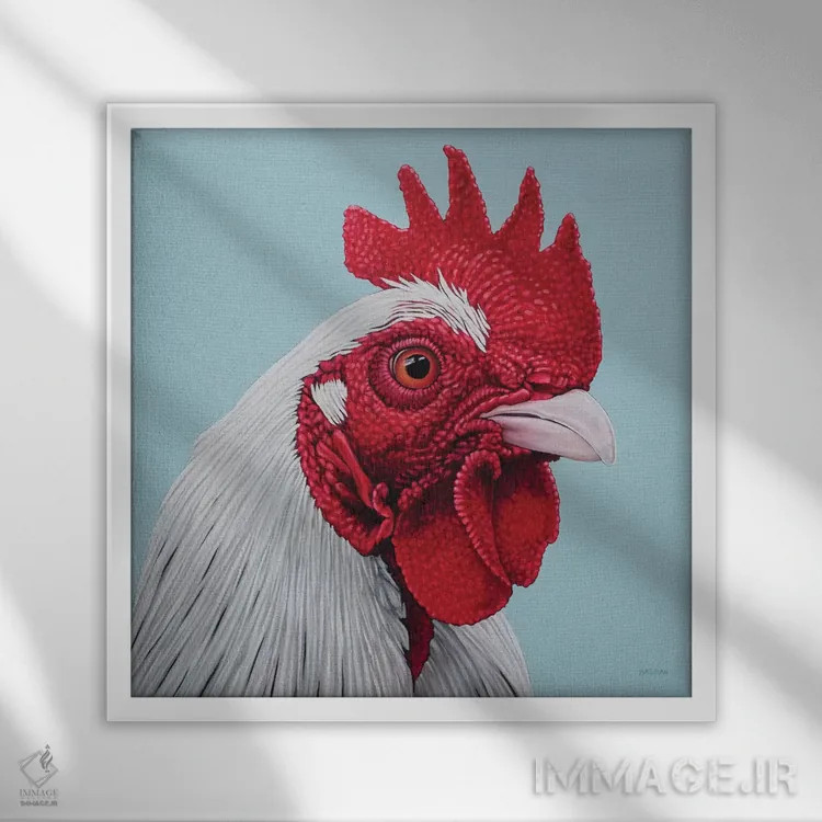 تابلو خروس سفید اثر کلارا باستین - نمای قابدار سفید