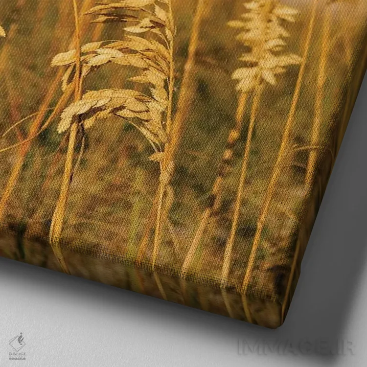 تابلو جزیره هیلتون هد ۴ اثر بثانی یانگ - نمای نزدیک بافت بوم