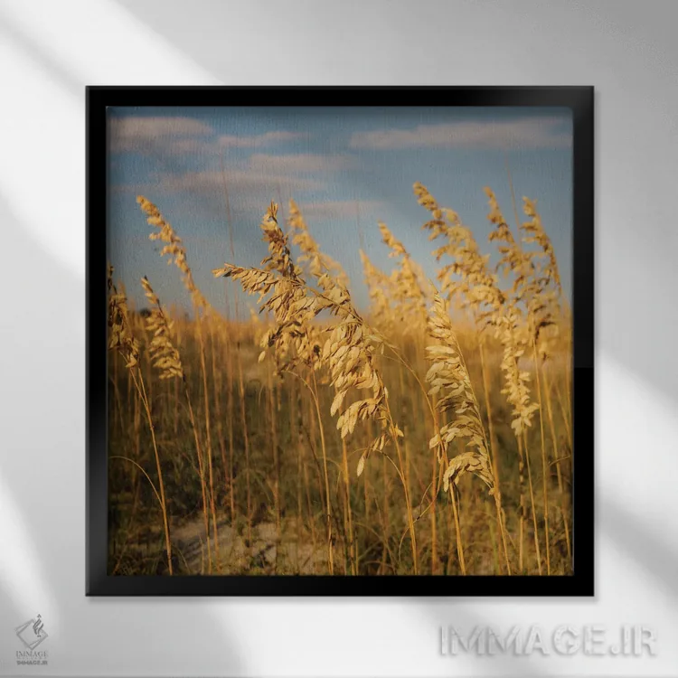 تابلو جزیره هیلتون هد ۴ اثر بثانی یانگ - نمای قابدار مشکی