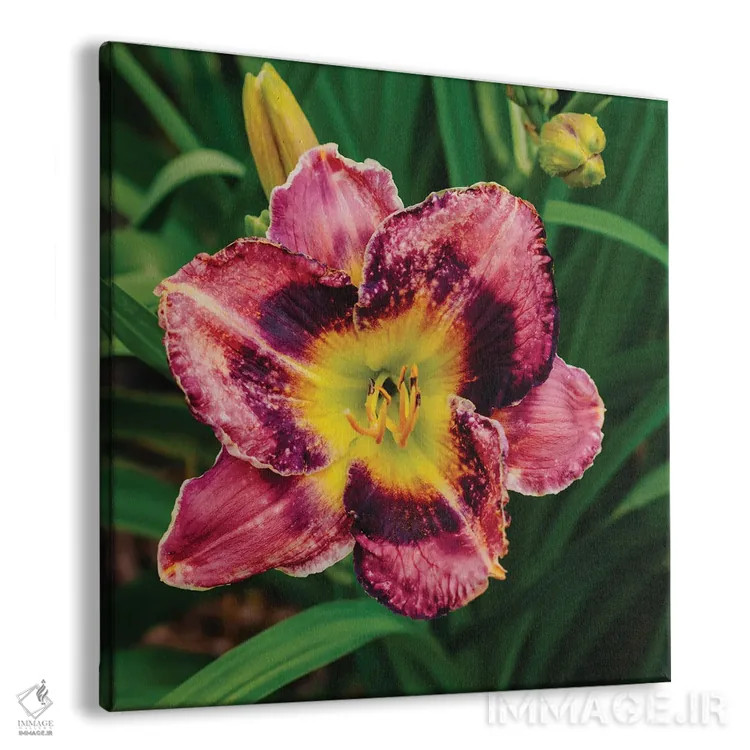 تابلو باغ سوسن روز ۱۳ اثر بثانی یانگ - نمای پرسپکتیو محصول