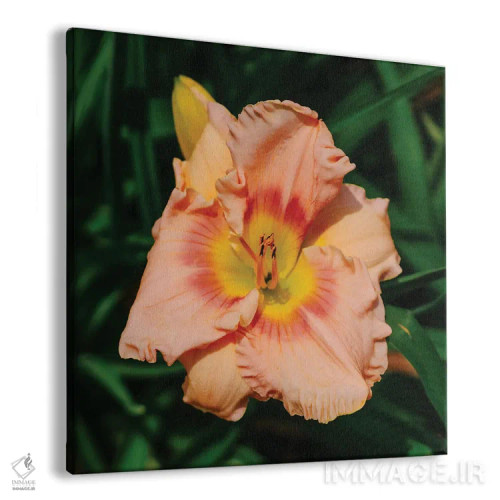 تابلو باغ سوسن روز ۱۰ اثر بثانی یانگ - نمای پرسپکتیو محصول