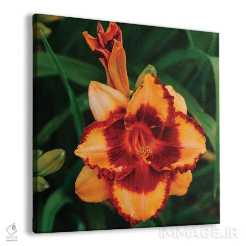 تابلو باغ سوسن روز ۱۵ اثر بثانی یانگ - نمای پرسپکتیو محصول