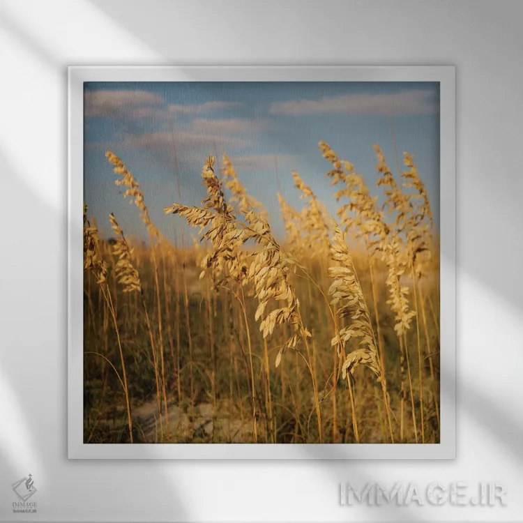 تابلو جزیره هیلتون هد ۴ اثر بثانی یانگ - نمای قابدار سفید