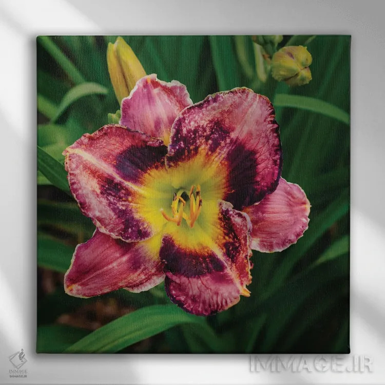 تابلو باغ سوسن روز ۱۳ اثر بثانی یانگ - نمای روبهرو روی دیوار