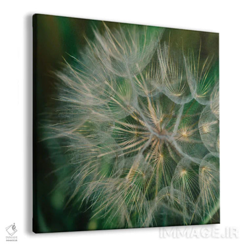 تابلو قاصدک تابستانی اثر بثانی یانگ - نمای پرسپکتیو محصول