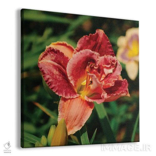 تابلو باغ سوسن روز اثر بثانی یانگ - نمای پرسپکتیو محصول