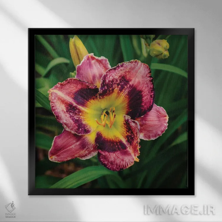 تابلو باغ سوسن روز ۱۳ اثر بثانی یانگ - نمای قابدار مشکی