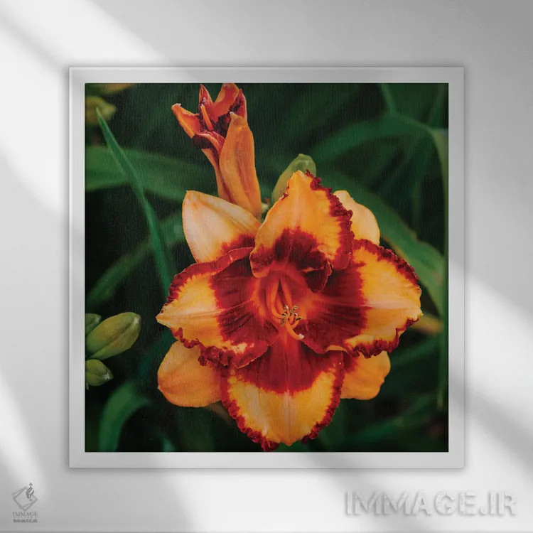 تابلو باغ سوسن روز ۱۵ اثر بثانی یانگ - نمای قابدار سفید