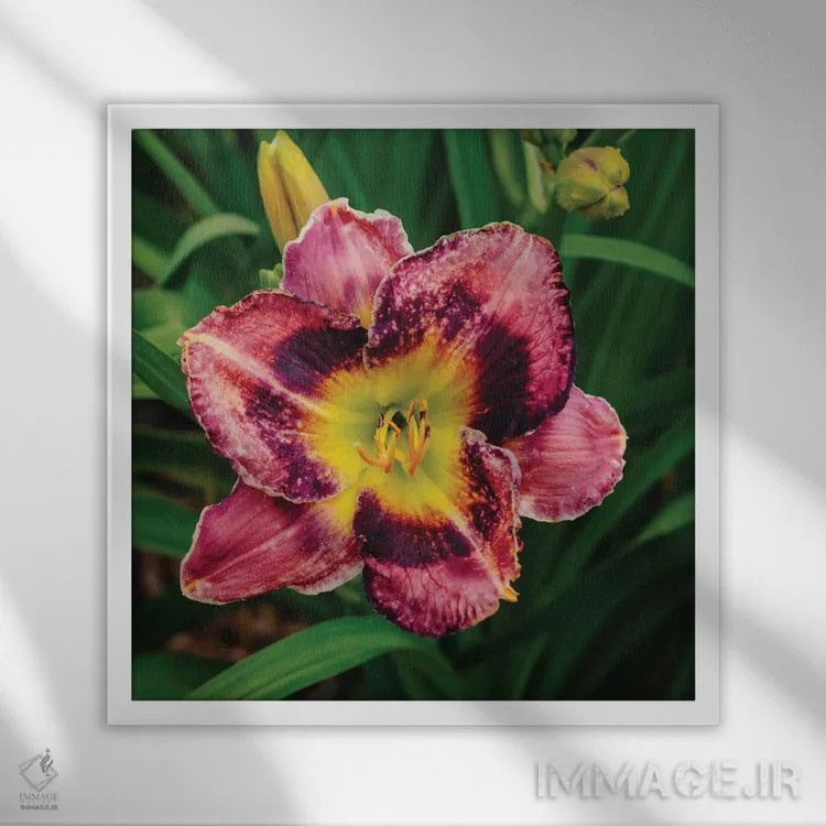 تابلو باغ سوسن روز ۱۳ اثر بثانی یانگ - نمای قابدار سفید