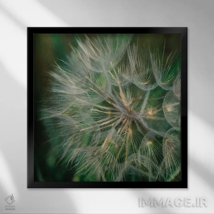 تابلو قاصدک تابستانی اثر بثانی یانگ - نمای قابدار مشکی