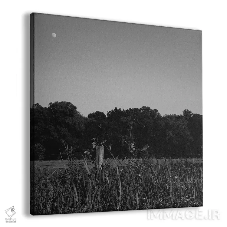 تابلو ماه تابستانی ۲ اثر بثانی یانگ - نمای پرسپکتیو محصول