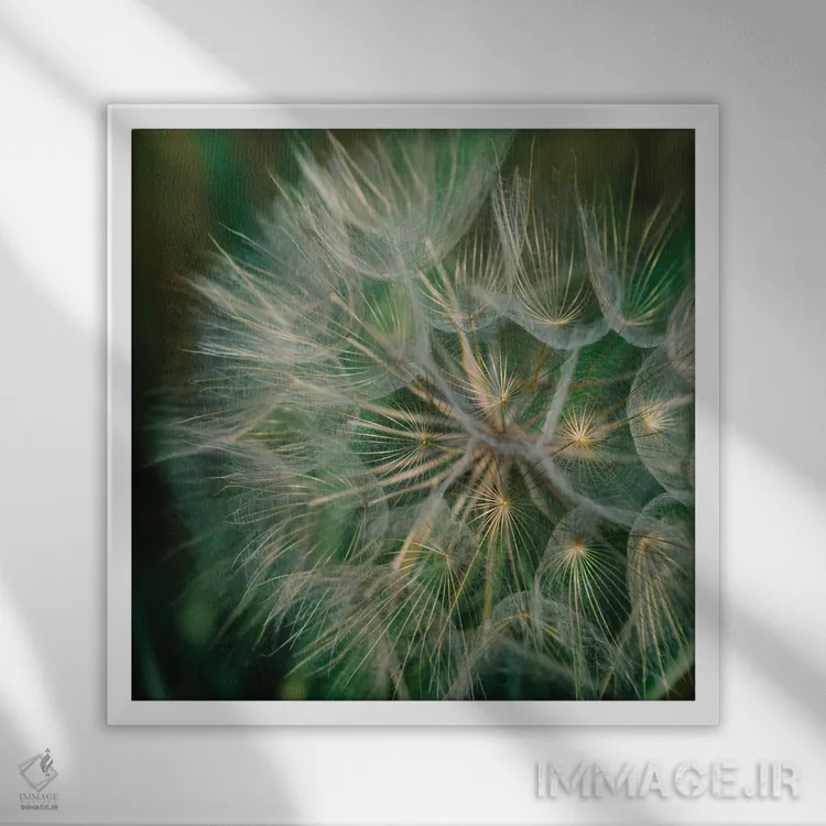 تابلو قاصدک تابستانی اثر بثانی یانگ - نمای قابدار سفید