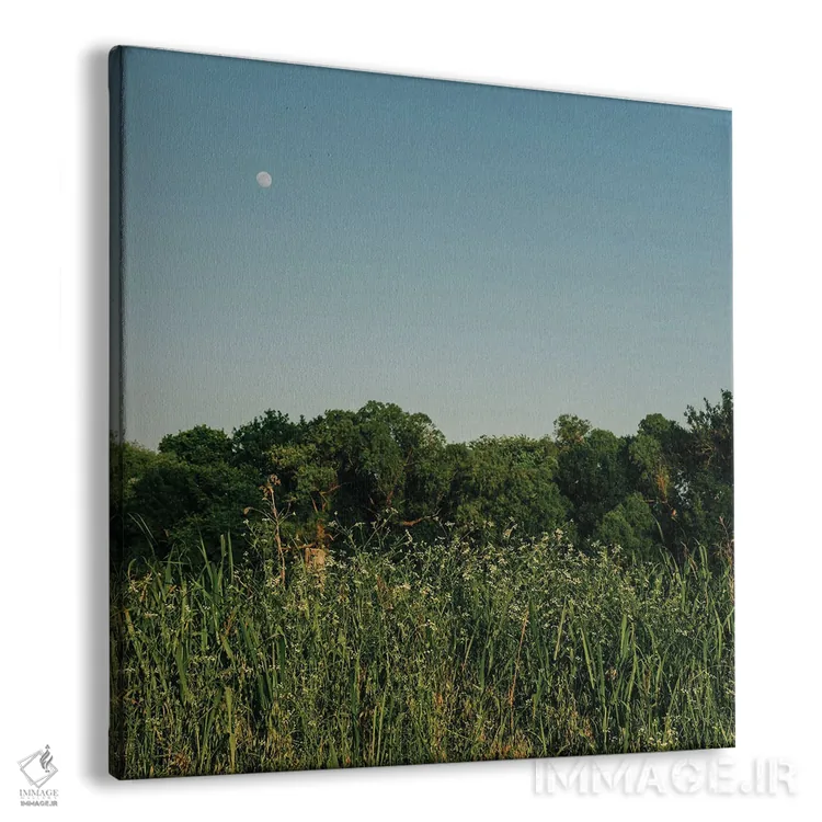 تابلو ماه تابستانی ۳ اثر بثانی یانگ - نمای پرسپکتیو محصول