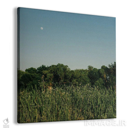 تابلو ماه تابستانی ۳ اثر بثانی یانگ - نمای پرسپکتیو محصول