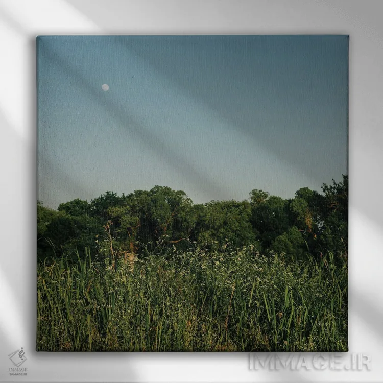 تابلو ماه تابستانی ۳ اثر بثانی یانگ - نمای روبهرو روی دیوار