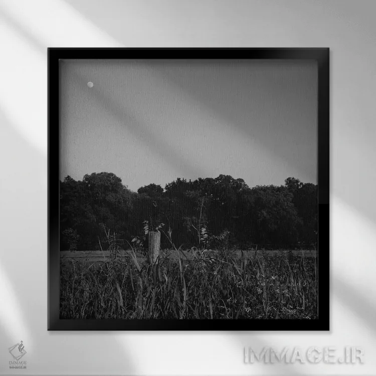 تابلو ماه تابستانی ۲ اثر بثانی یانگ - نمای قابدار مشکی