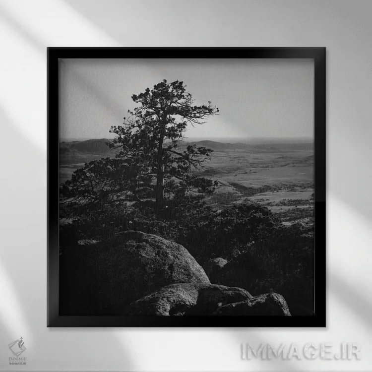 تابلو پناهگاه ملی حیات وحش کوهستان ویچیتا اثر بثانی یانگ - نمای قابدار مشکی