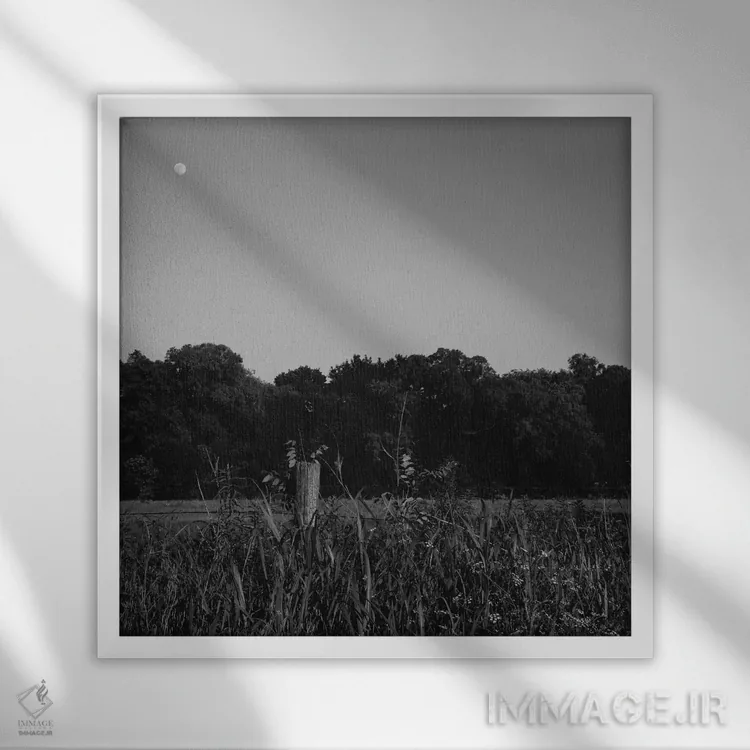 تابلو ماه تابستانی ۲ اثر بثانی یانگ - نمای قابدار سفید