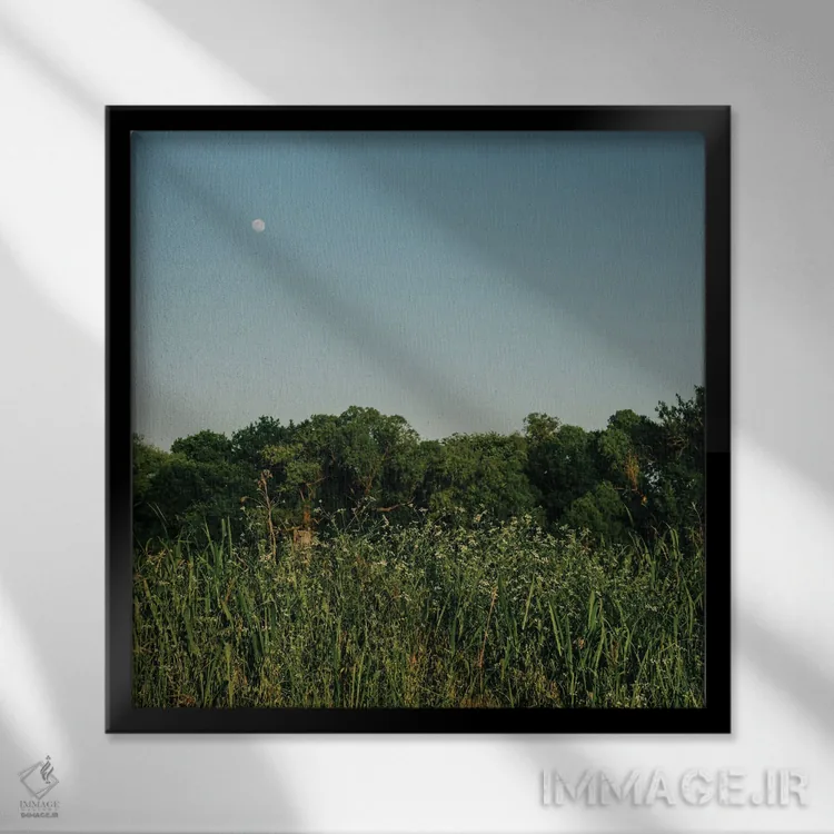 تابلو ماه تابستانی ۳ اثر بثانی یانگ - نمای قابدار مشکی